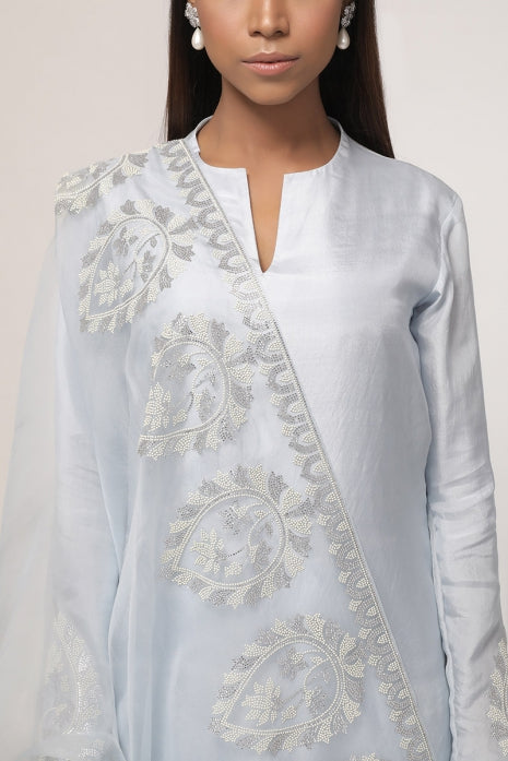 Bluebell Symphony Kurta Set (Powder Blue)