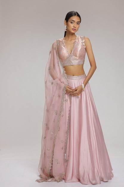 Garnet Lehenga Set Pink